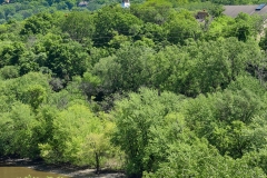 View of the steeple of the Historic Church of St. Peter from the south on the Mendota Bridge spanning the Minnesota River