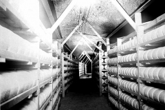 Cheese aging in Wabasha Street Caves circa 1940 (MHS)